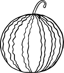Fruit. Hand drawn vector isolated sketch. Watermelon