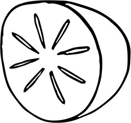 Fruit. Hand drawn vector isolated sketch. Persimmon 