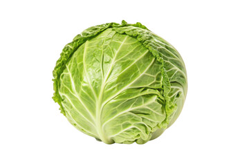 Fototapeta premium Fresh green cabbage ready for cooking or salad preparation in a kitchen setting with bright natural light for healthy meals, cut out