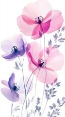 A digital painting of pink and purple flowers with translucent petals on a white background.