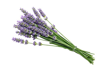 Naklejka premium Lavender bouquet for aromatic home decor and relaxation during summer gatherings and special events, cut out