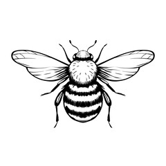 Cartoon bee mascot. A small bees flies. Wasp collection. Vector characters. Incest icon. Template design for invitation, cards. Doodle style.