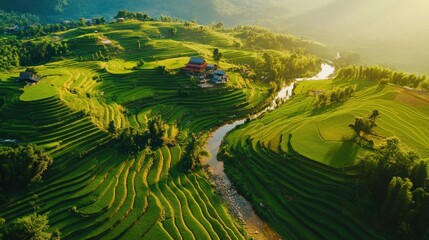 Aerial View of Rice Terraces and River Landscape in Rural Area