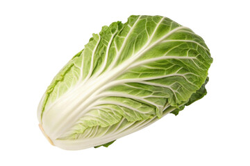 Fototapeta premium Fresh napa cabbage showcases vibrant green leaves and delicate veins, perfect for healthy dishes and salads, cut out