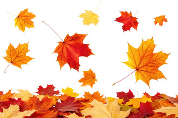 Fototapeta premium Autumn leaves falling from trees, creating a vibrant carpet of colors on the ground during the harvest season, cut out