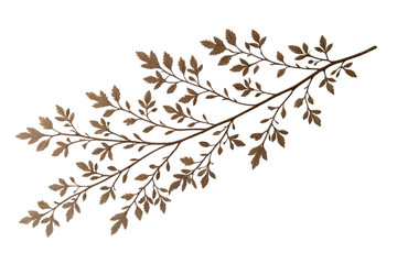 Elegant brown fern leaf design for natural decor and creative projects, cut out