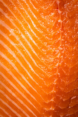 Pesce crudo 