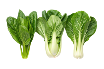 Fresh leafy greens including bok choy, Swiss chard, and spinach arranged beautifully for culinary use and healthy meal preparation, cut out
