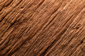 Close-up view of the wood species highlights its unique textures and patterns, demonstrating the transformation of organic material