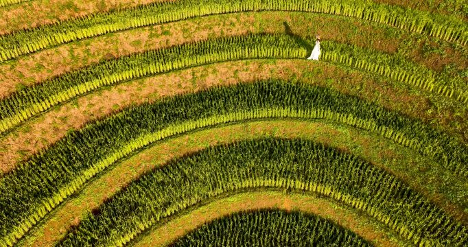 The terraced fields in Mu Cang Chai, Yen Bai during harvest season are beautiful. Photo taken in Yen Bai on October 4, 2023.	
