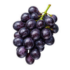 Fototapeta premium Fresh black grapes cluster with rich color and juicy texture, perfect for healthy snacking or adding to desserts. Enjoy their sweet flavor and nutritional benefits