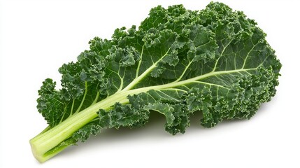 Single Fresh Green Kale Leaf Isolated on White Background