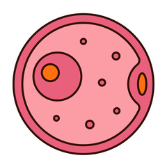 ovum