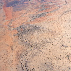 sparse vegetation on Skaap dry river shores in Kalahari desert countryside, near Garieb farm, Namibia