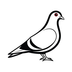vector illustration of a dove