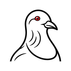 pigeons head on white background