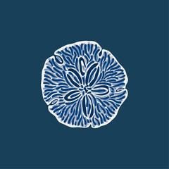 Stylized white shell illustration on dark blue background, marine-inspired composition