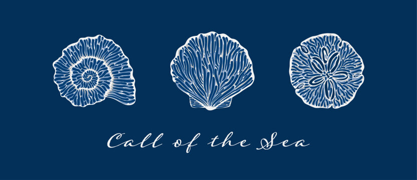 Stylized white shell illustrations on dark blue background with Call of the Sea quote