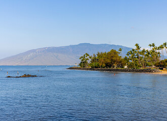 Coconut Palm Trees Line The Shore of Cove Beach and Surfers Bay, Kalama Beach Park , Maui, Hawaii,...
