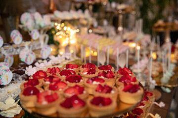Elegant Wedding Candy Bar with Colorful Sweets, Cakes, and Fruits