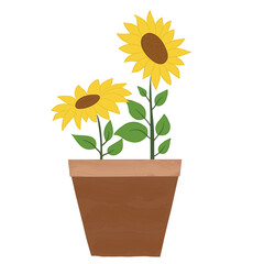 sunflower growing in pot icon vector illustration design template web