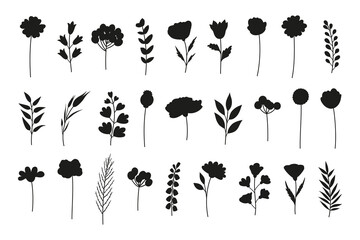 Wildflowers set, flowers black shapes silhouettes. Meadow herbs and various botanical wild plants for design projects. Vector illustration