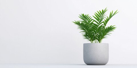 Lush green indoor plant in modern pot, adding freshness to any space