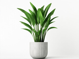 Lush green indoor plant in modern concrete pot, adding freshness to any space