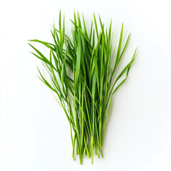 Fresh green cut wild grass isolated on white background