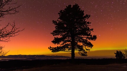 Lone pine tree silhouetted against a vibrant aurora borealis in a serene landscape, showcasing the natural beauty and tranquility of the northern lights in a breathtaking night sky.