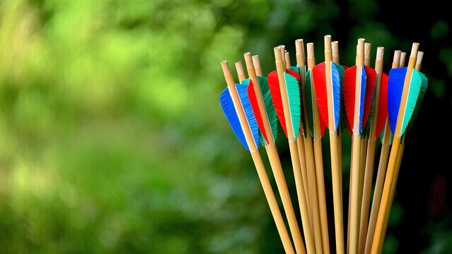 An archery quiver filled with different colored arrows, against a natural background
