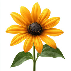 Obraz premium Closeup of a Vibrant Yellow Flower with Dark Center and Green Leaves on White Background