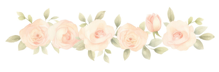 Fototapeta premium PNG Roses as divider watercolor graphics blossom pattern.