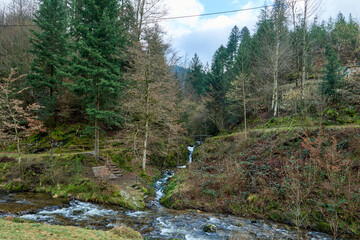 Obraz premium Scenic Mountain Stream Cascading Through Forest with Wooden Steps and Handrail Path. Natural Forest Waterfall with Hiking Trail and Mossy Rocks in Black Forest Wilderness Landscape.