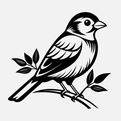 Stylized Black and White Bird Illustration with Large Eye and Simplified Feather Details