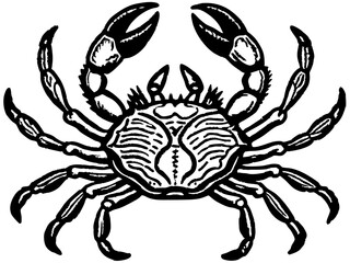 Vintage Black and White Crab Illustration with Detailed Anatomy and Scientific Design