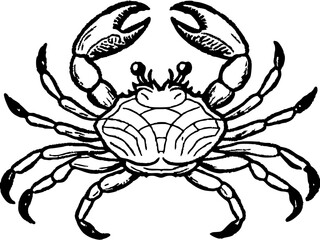 Vintage Black and White Crab Illustration with Detailed Anatomy and Scientific Design