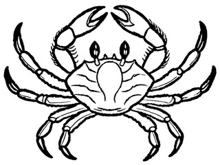 Vintage Black and White Crab Illustration with Detailed Anatomy and Scientific Design