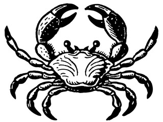 Vintage Black and White Crab Illustration with Detailed Anatomy and Scientific Design