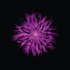 abstract 3d Flower  in black background. Purple flower petal. vector illustration.