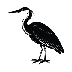 Fototapeta premium heron on white background