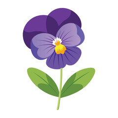 Purple Viola Flower Displayed on White