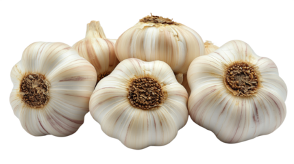 Garlic heads isolated on transparent background