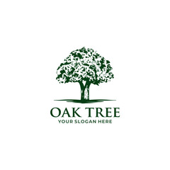 Obraz premium Oak Tree Logo vector