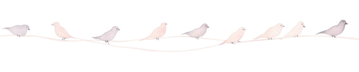 Obraz premium PNG Birds as divider watercolor animal pigeon flock.