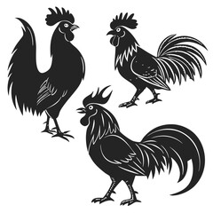 Roosters Silhouette vector illustration
