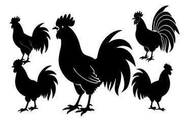 Roosters Silhouette vector illustration
