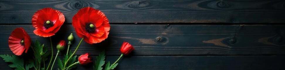 Obraz premium Red poppy in centre against dark rough wood texture, dark wood, rustic background, nature