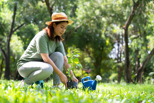 Happy young Asian woman volunteer holding a sapling to plant forests, people and ecology concept, environment Earth Day In the hands of trees growing seedlings, love of nature and care concept