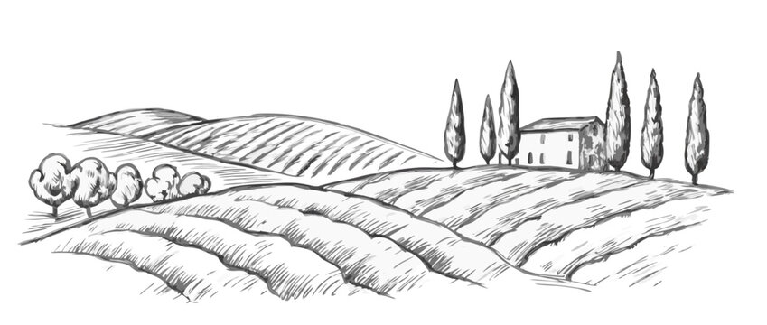 Hand-drawn sketch illustration of a Tuscany landscape, featuring rolling hills, agricultural fields, and rustic charm. Perfect for travel, farm, and countryside-themed designs.